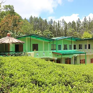 Narra , Maskeliya Sri Lanka